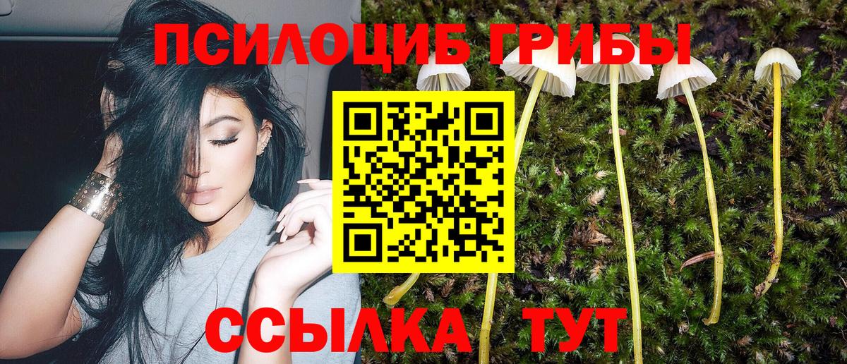 Мелеуз  Псилоцибиновые грибы Psilocybine cubensis  Псилоцибиновые грибы Cubensis  Вход с VPN 